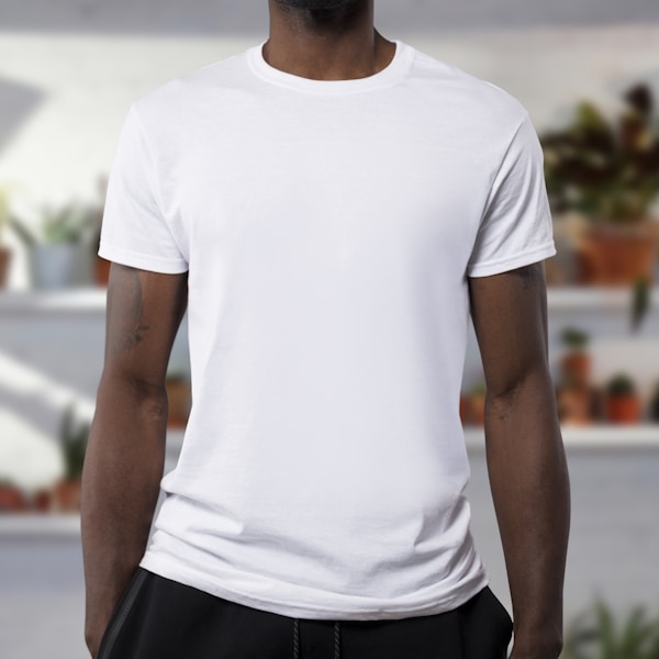 Kit camisetas